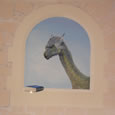 Saphira, the Dragon from Eragon Trompe D'Oeil